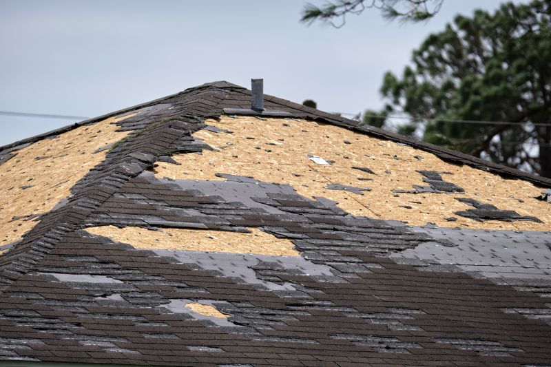 Roof Sheathing Damage